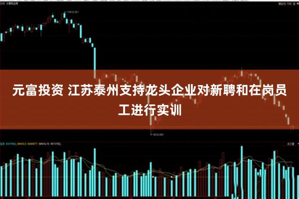 元富投资 江苏泰州支持龙头企业对新聘和在岗员工进行实训