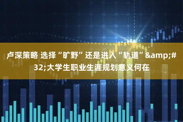 卢深策略 选择“旷野”还是进入“轨道”&#32;大学生职业生涯规划意义何在