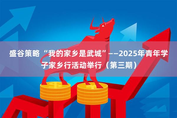 盛谷策略 “我的家乡是武城”——2025年青年学子家乡行活动举行（第三期）