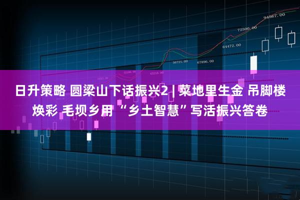 日升策略 圆梁山下话振兴2 | 菜地里生金 吊脚楼焕彩 毛坝乡用 “乡土智慧”写活振兴答卷
