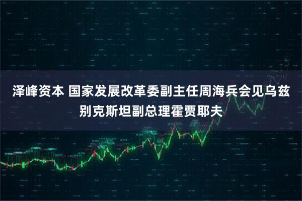 泽峰资本 国家发展改革委副主任周海兵会见乌兹别克斯坦副总理霍贾耶夫