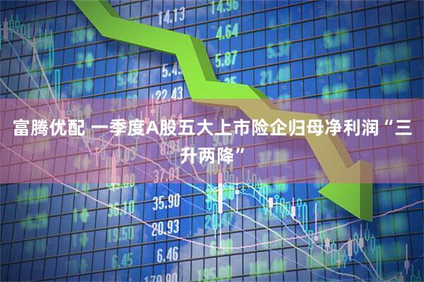 富腾优配 一季度A股五大上市险企归母净利润“三升两降”