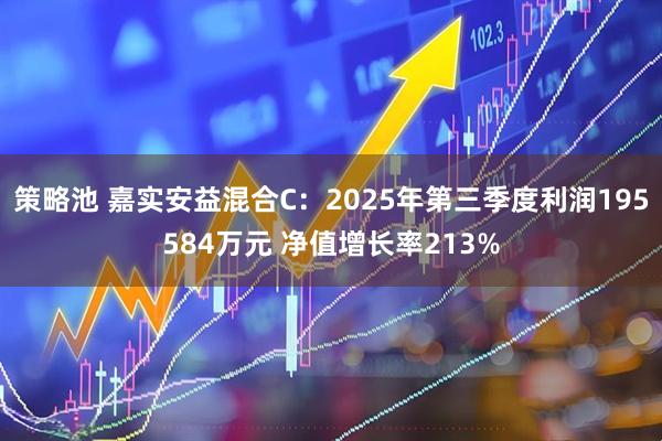 策略池 嘉实安益混合C：2025年第三季度利润195584万元 净值增长率213%